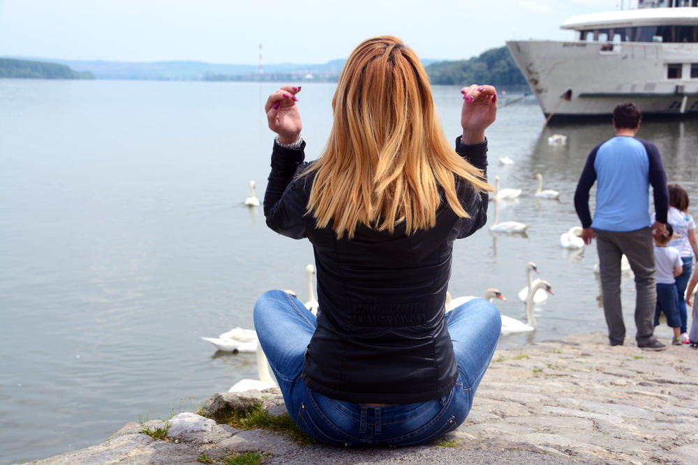 Zemunski kej, labudovi