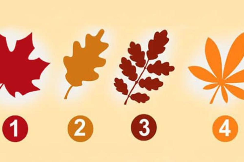 Izaberite NAJPRIVLAČNIJI LIST -  Jedan je SPECIJALAN ZA VAS! (FOTO) (GIF)