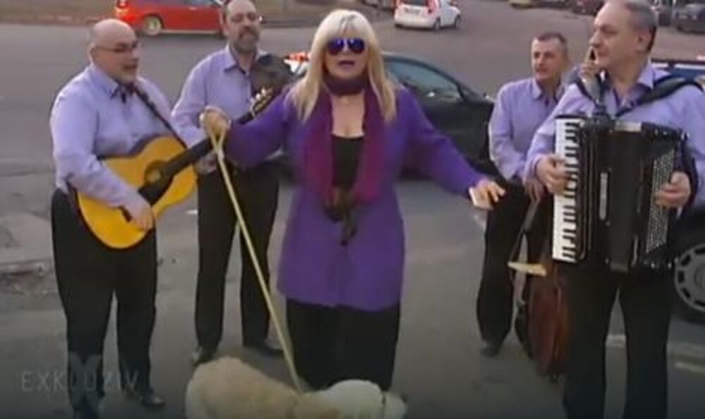 Ovoga puta na udaru je bila Zorana Pavić