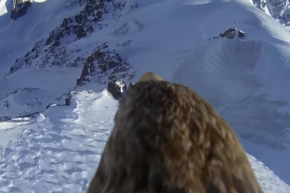 IZ PTIČIJE PERSPEKTIVE: Prikačili su kameru na ORLA i oduševili se snimkom! (VIDEO)