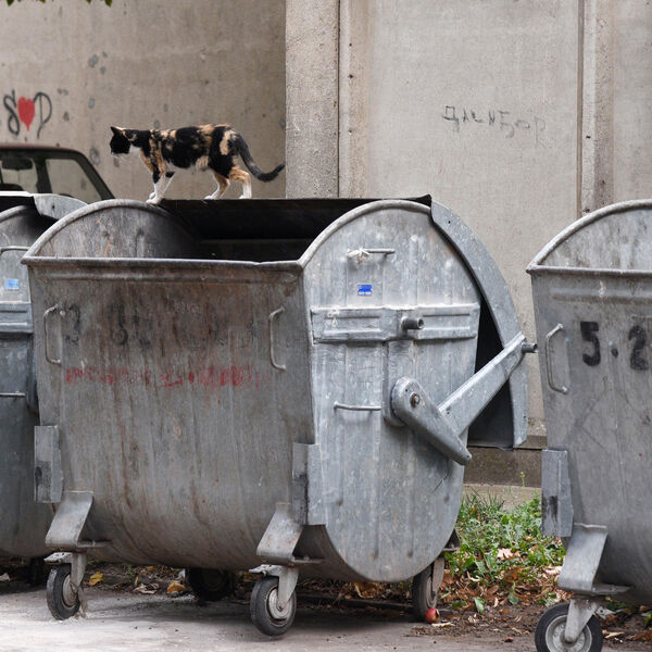 Kad je shvatila šta je bacila zajedno sa smećem u... U panici zvala komunalce, ubrzo su joj pokucali na vrata!