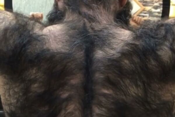 VUKODLAK IZ TURSKE: Berberin iz Dijarbakira objavio snimak koji je ŠOKIRAO SVET! (VIDEO)