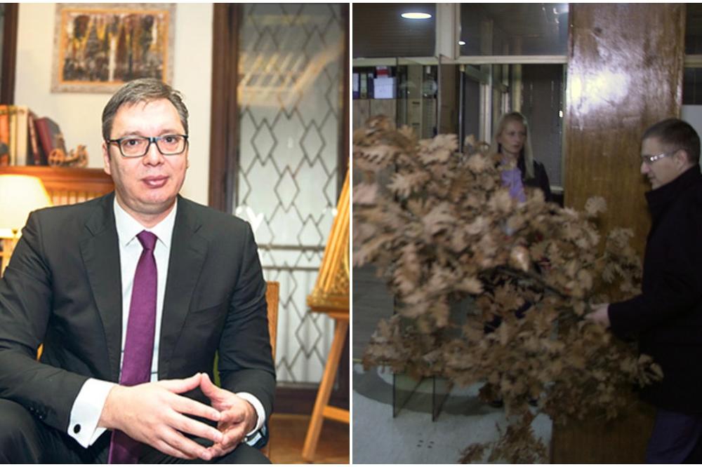 VUČIĆ: Uneo sam badnjak u Predsedništvo, ali bez kamera! A Nebojša Stefanović uneo badnjak, ali UZ KAMERE!