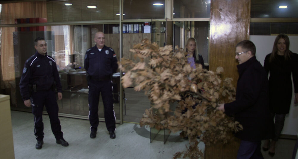 Nebojša stefanović unosi badnjak 