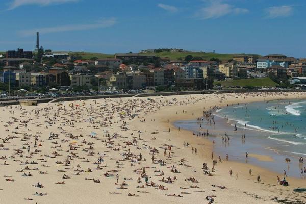 DRŽALA PRESLATKU ŽIVOTINJICU, A ONDA USLEDIO HAOS: Žena osetila 2 uboda u stomak, LJUDI U PANICI