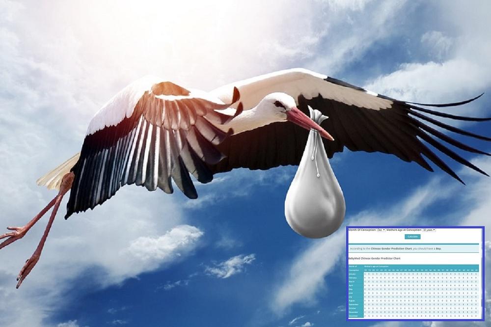 I žene mogu UTICATI NA TO! Ovim kalkulatorom birate POL DETETA! (FOTO)