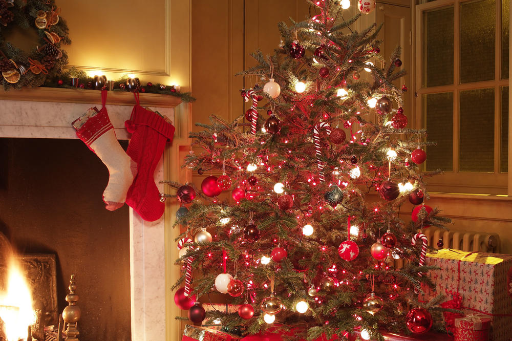 DA LI ZNATE KOJA ESTRADNA PORODICA IMA NAJBOGATIJU JELKU? Objasnili su svima kako treba da izgleda praznični DOM