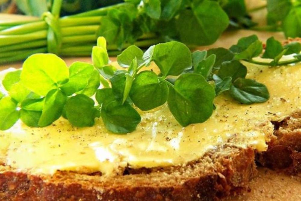 STRUČNJACI JE NAZIVAJU NAJZDRAVIJOM BILJKOM NA SVETU! Ispred nosa nam je, a leči sve, od malignih bolesti do slabe kose! (FOTO)