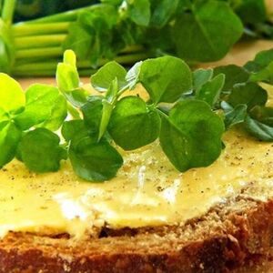 ČISTI KRV I ČUVA SRCE, A SRBI BEŽE OD NJE KAO "ĐAVO OD KRSTA"! Ispred nosa nam je, jeftina i NAJZDRAVIJA BILJKA