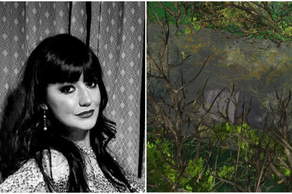 NEOČEKIVAN OBRT U ISTRAZI: UBICA pevačice Jelene Marjanović koristio DVE vrste ORUŽJA!