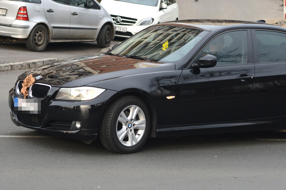 Vozni park fudbalera Crvene zvezde