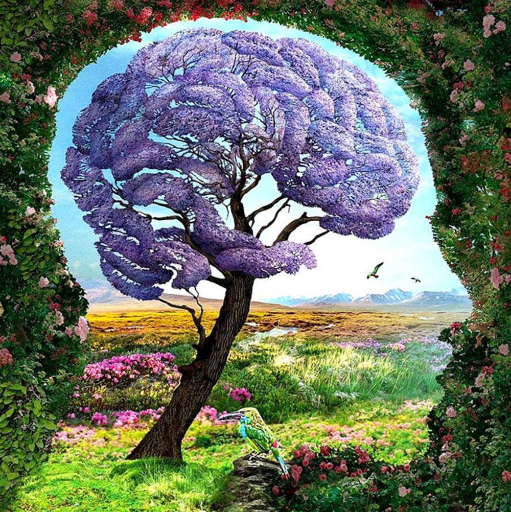 Šta vidite na slici?