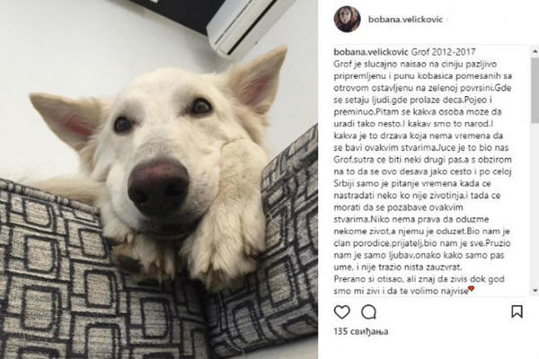 STRAHOTA! Reprezentativki otrovali psa usred parka! Srbijo, ovo moraš da pročitaš: Juče je to bio Grof, a sutra... (FOTO)