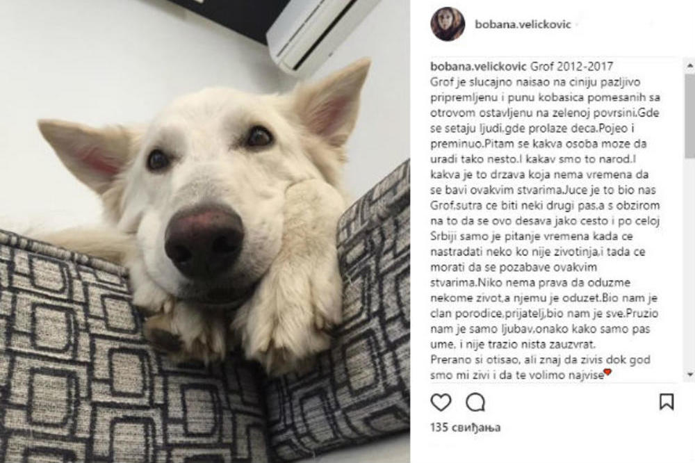 STRAHOTA! Reprezentativki otrovali psa usred parka! Srbijo, ovo moraš da pročitaš: Juče je to bio Grof, a sutra... (FOTO)