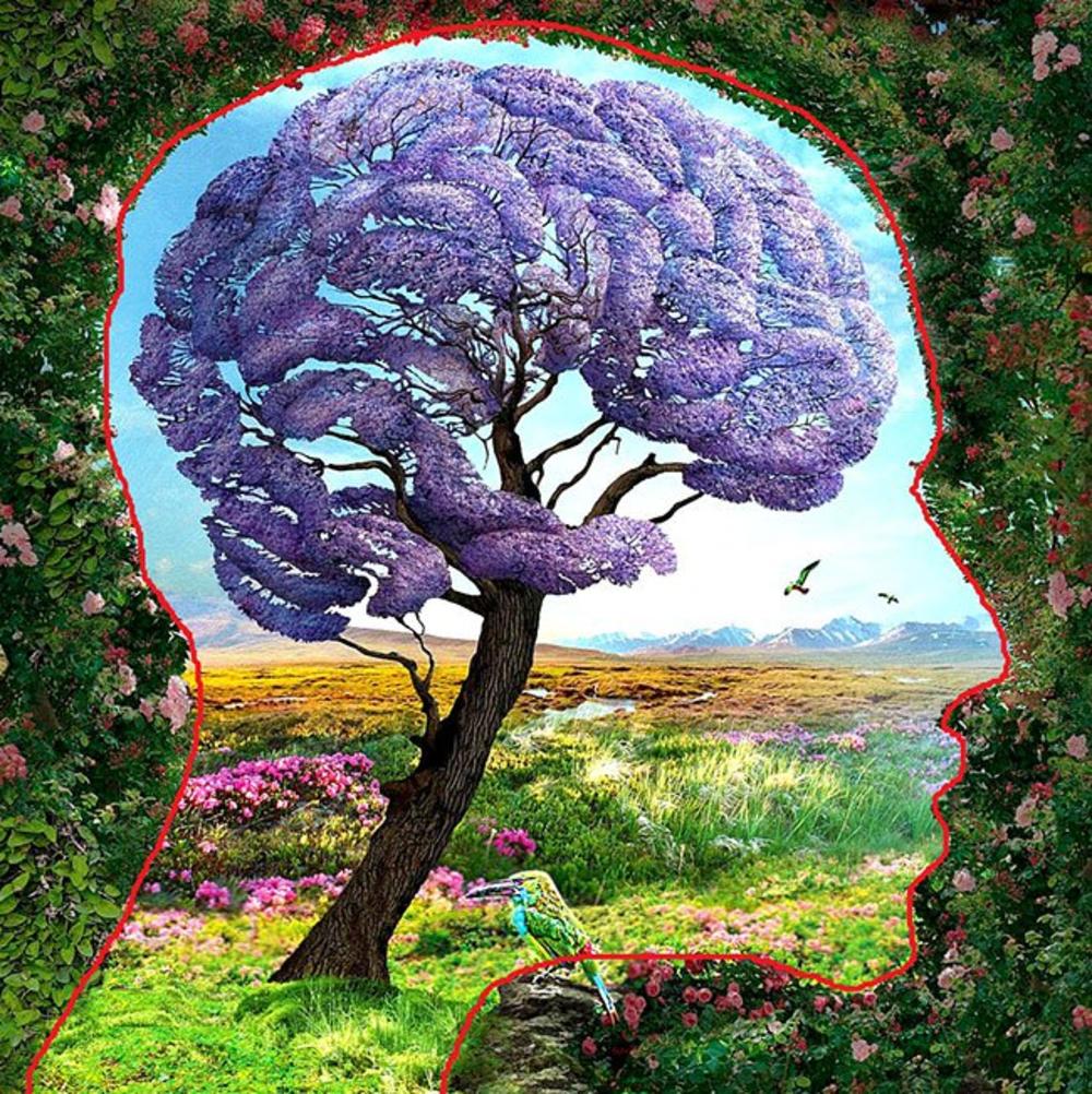 Šta vidite na slici?