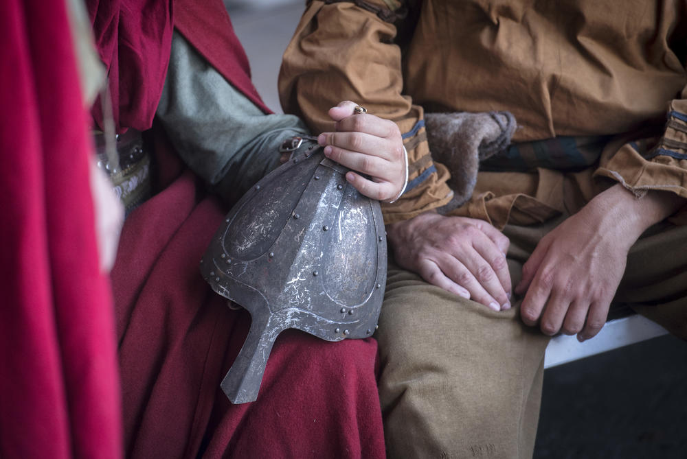 Nova serija RTSa, Nemanjići - rađanje kraljevine