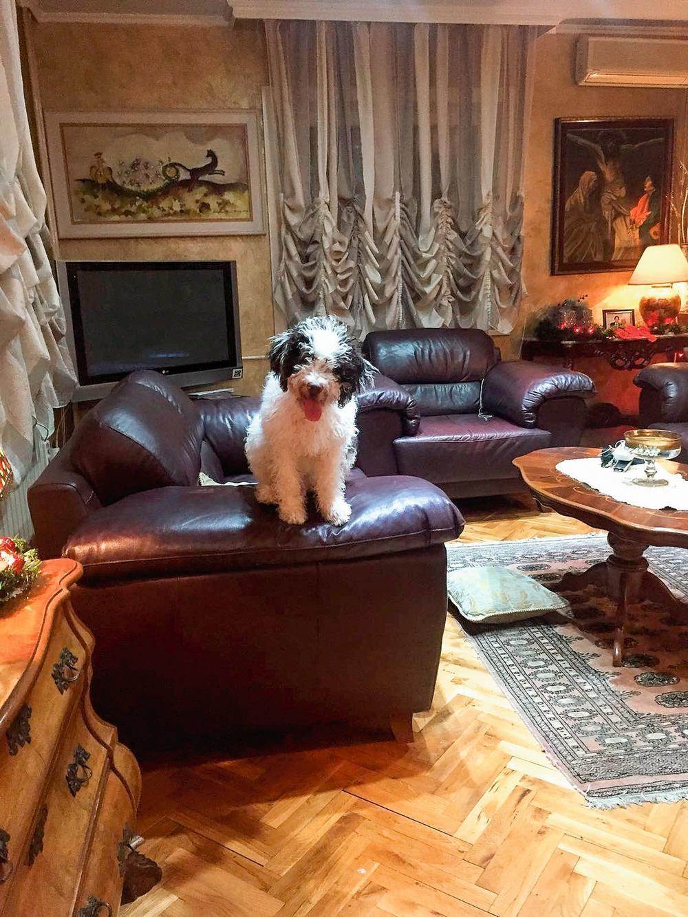 Lea Kiš Jokić je uredila svoj dom na Voždovcu sama