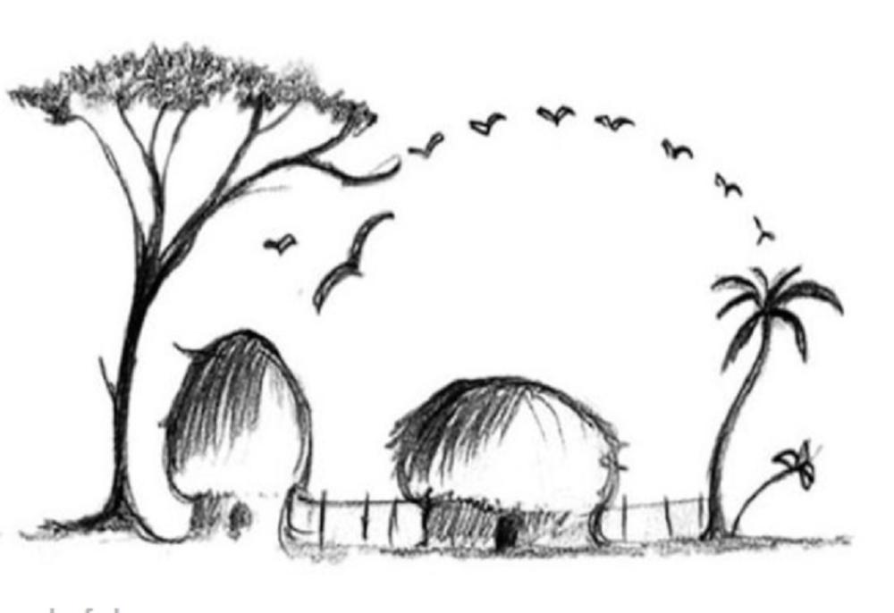 Šta vidite na ovoj slici