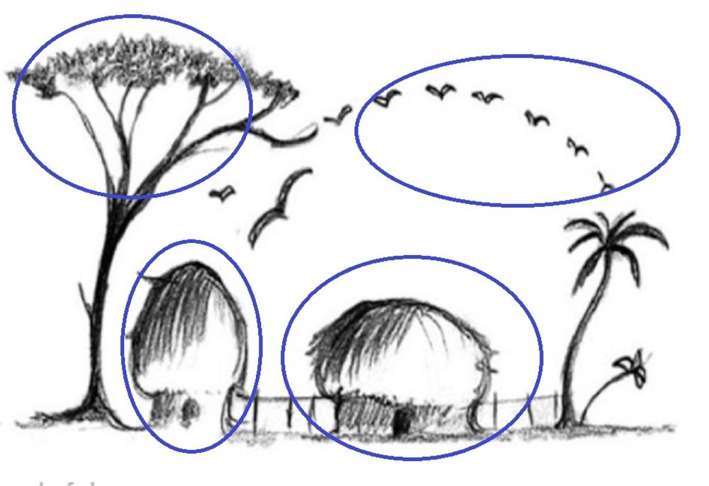 Šta vidite na ovoj slici?