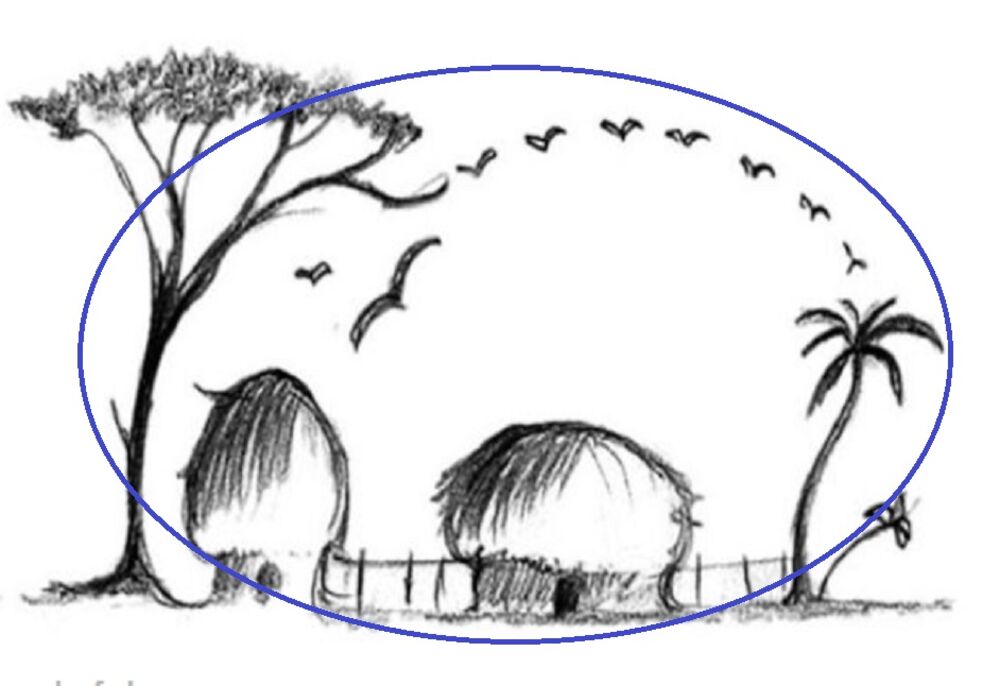 Šta vidite na ovoj slici?