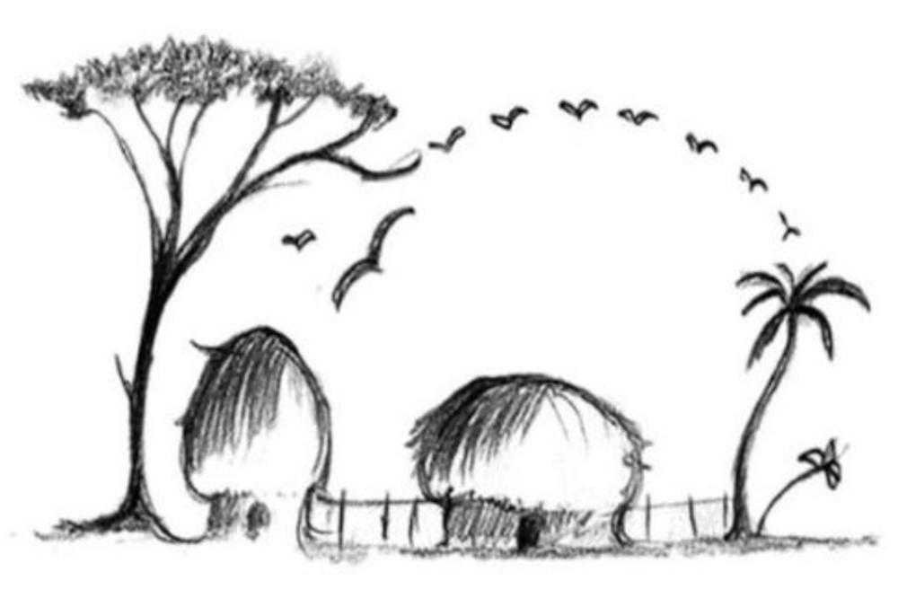 ŠTA PRVO VIDITE NA OVOJ SLICI? Odgovor na ovo pitanje otkriva u kakvoj ste životnoj situaciji!