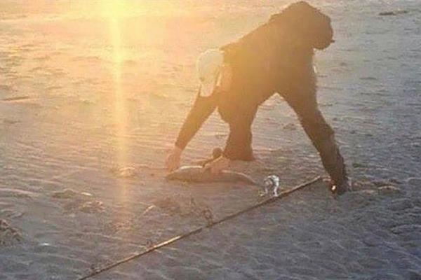 OVA OPTIČKA ILUZIJA JE ZBUNILA POLA INTERNETA: I mi smo zbunjeni, a vi? (FOTO)