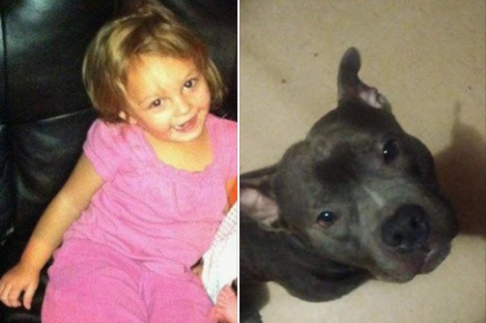 OSTAVIO JE SVOG PITBULA SAMOG U KUĆI S BAKOM I ĆERKOM (3): Uskoro je dobio poziv da se dogodilo ONO NAJGORE!