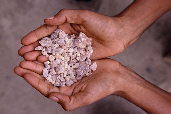 Znate li koliko je moćan TAMJAN? Ni ne znate koliko je LEKOVIT, a leči skoro sve! (FOTO)