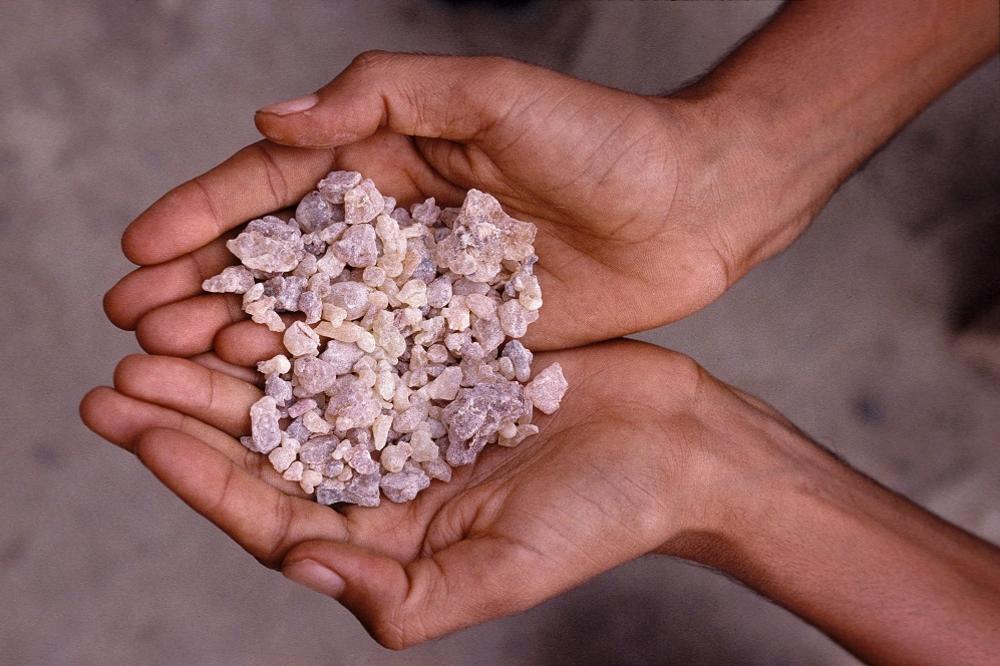 Znate li koliko je moćan TAMJAN? Ni ne znate koliko je LEKOVIT, a leči skoro sve! (FOTO)