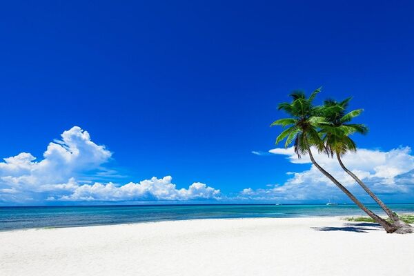 VELIKI PROBLEMI NA HAVAJIMA: Amerikanci navalili k'o ludi na brašno! (VIDEO)