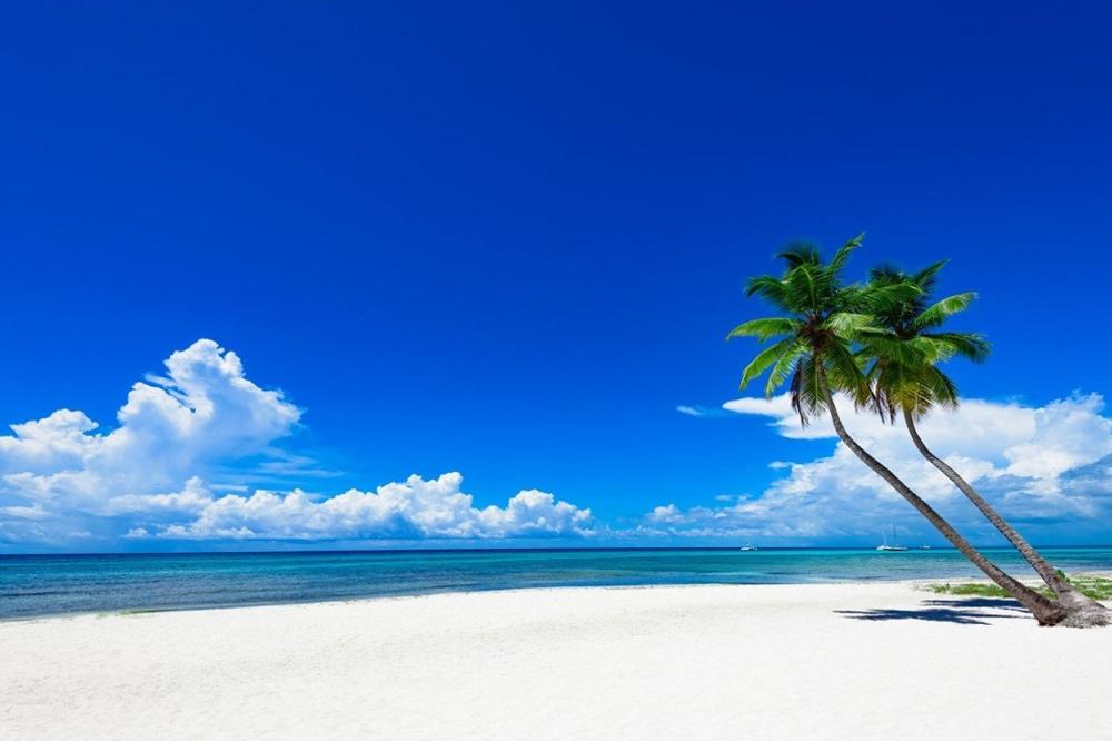 VELIKI PROBLEMI NA HAVAJIMA: Amerikanci navalili k'o ludi na brašno! (VIDEO)