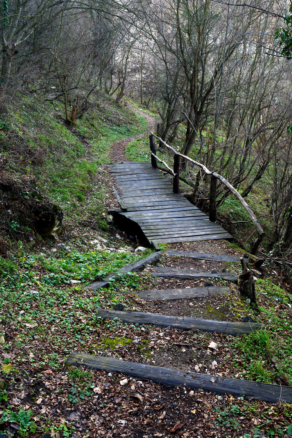 Put koji vodi do Jug Bogdanove kule