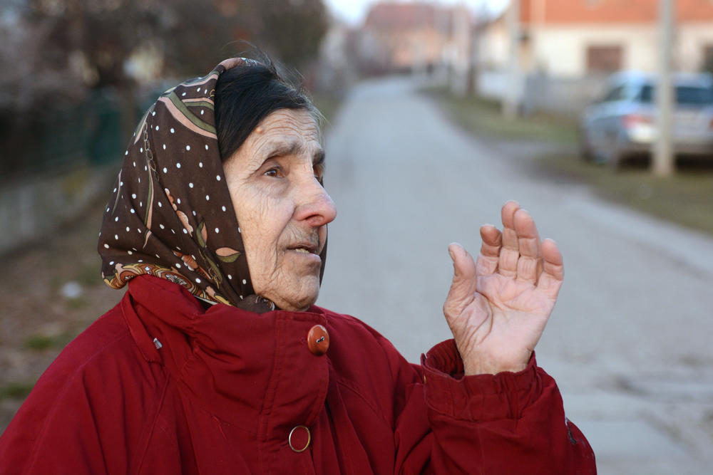 Selena Živanović o Najdanovim krugovima