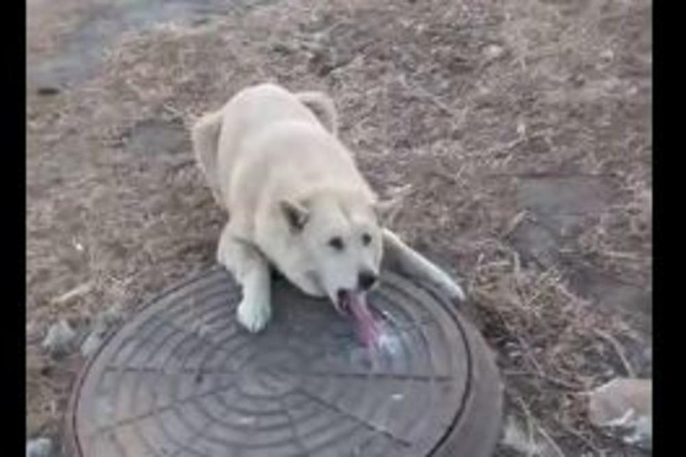 OVOJ KUCI SE DESILO NEŠTO ZAISTA GROZNO: Ceo svet šeruje ovaj snimak (VIDEO)