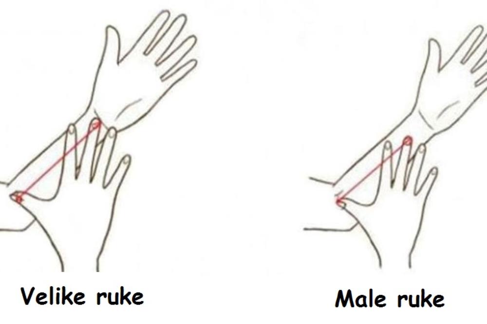 Šta veličina VAŠE NADLANICE govori o vama? (FOTO) (GIF)