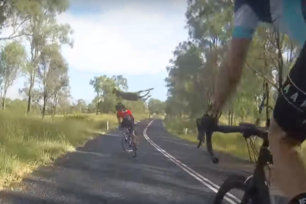 NINDŽA KENGUR NAPADA: Žena je mirno vozila bicikl... (VIDEO)