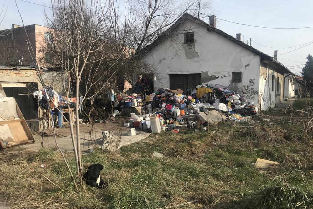 HOROR ŠKOLA NA PERIFERIJI BG: Smetlište i opasne lutalice, pogledajte u čemu uče srpska deca u Padinjaku! (FOTO)