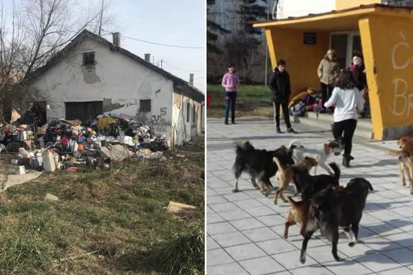SPREMA SE TOTALNA BLOKADA NASTAVE U BG HOROR ŠKOLI: Roditelji besni, A NADLEŽNI NE REAGUJU! (FOTO)
