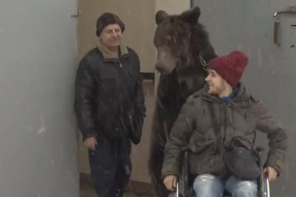 TRENER ŽIVOTINJA SLOMIO JE NOGU, A ONDAMU JE PRIŠAO MEDVED! Oduševiće vas postupak ove ZVERI (VIDEO)