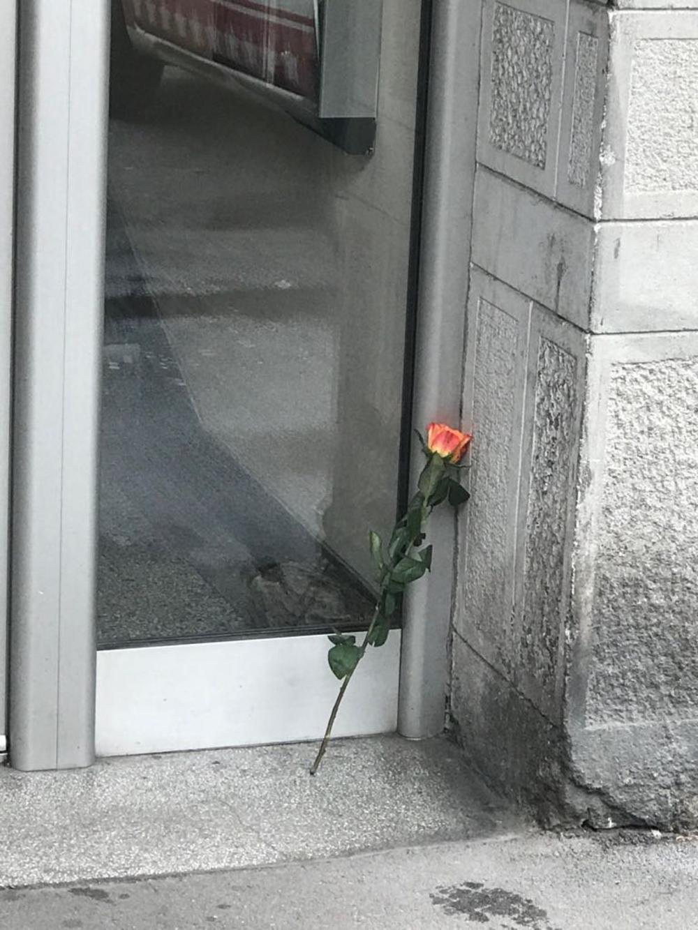 Divan gest obožavaoca 