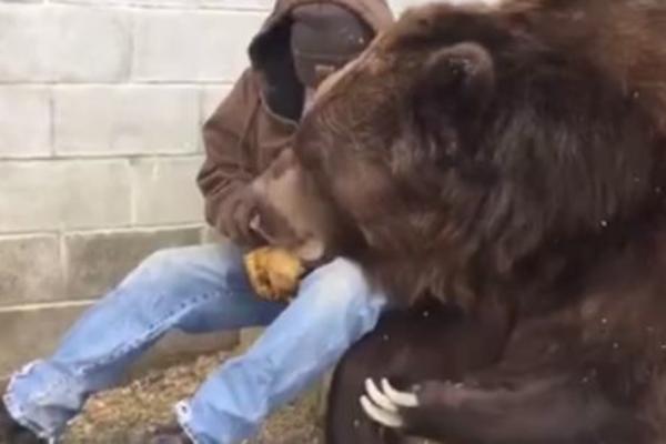 UŠAO JE KOD DŽINOVSKOG MEDVEDA U KAVEZ, A ONDA... Ne gledajte ako ste preosetljivi! (VIDEO)