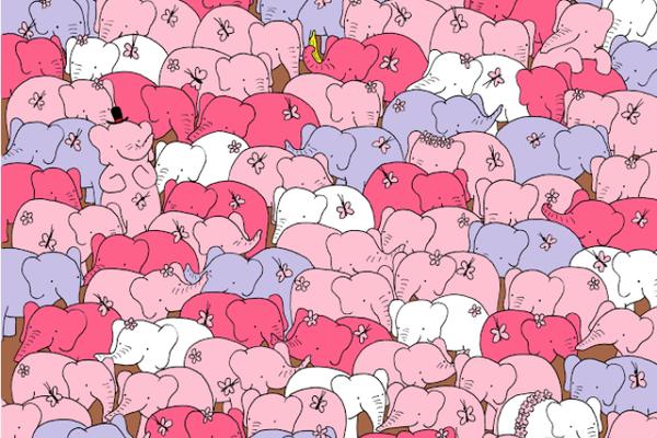 MOZGALICA ZA DAN ZALJUBLJENIH: Da li možete da pronađete SRCE među slonovima?