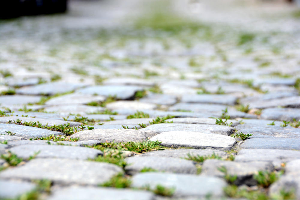 GORAN KUPIO KUĆU U ZEMUNU, ALI SADA OSTAJE BEZ NJE ZBOG TUĐEG DUGA: Pamet u glavu, ovo može da se desi svakom od nas!