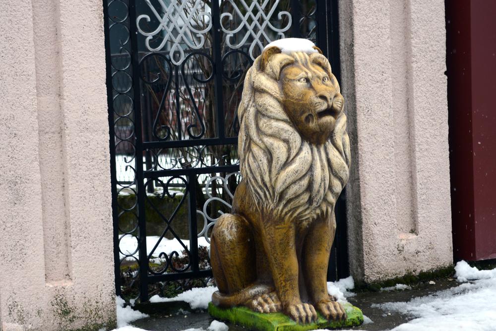 Jer - šta će drugo simbolizovati prestiž, ako ne zlatna mačka? 