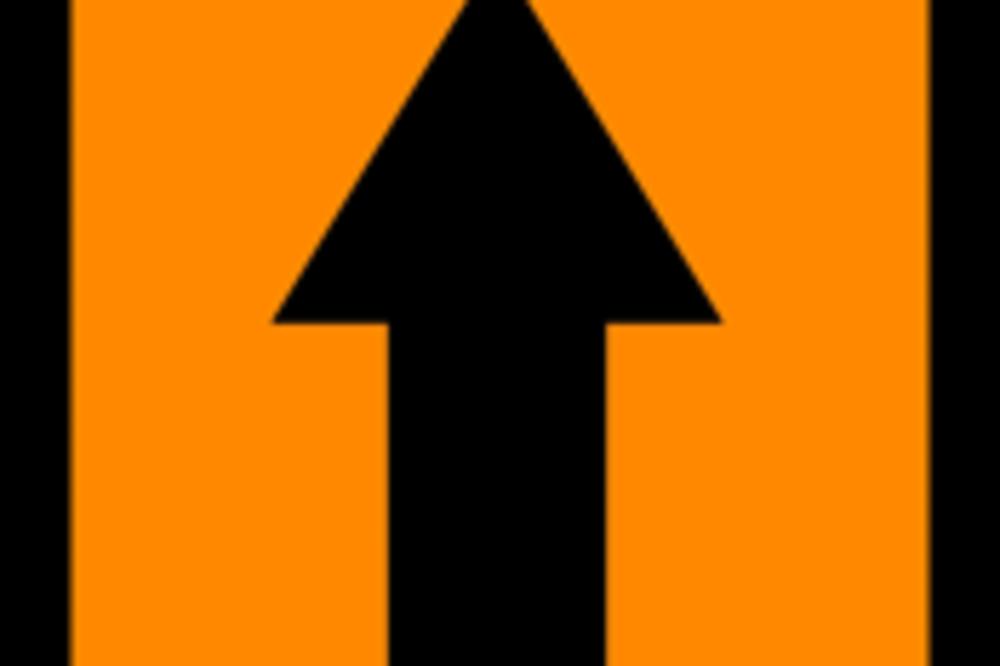 NOPO HIT NA IZBORIMA: Lista salivača strave, drombuljaša, crtača japanskih obrva...