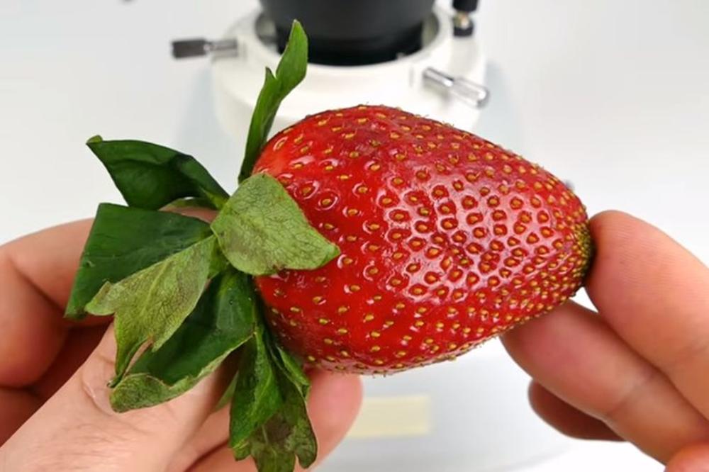 VIŠE NIKADA NEĆETE JESTI JAGODE kad pogledate ovaj SNIMAK NAČINJEN MIKROSKOPOM! (VIDEO)