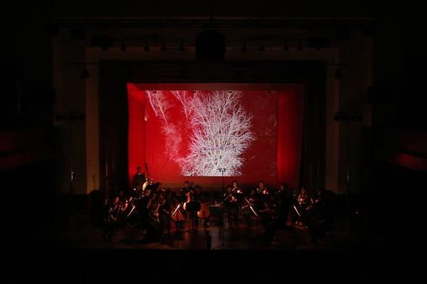 Kamerni orkestar Muzikon: Susret klasike i džeza na Kolarcu (VIDEO)
