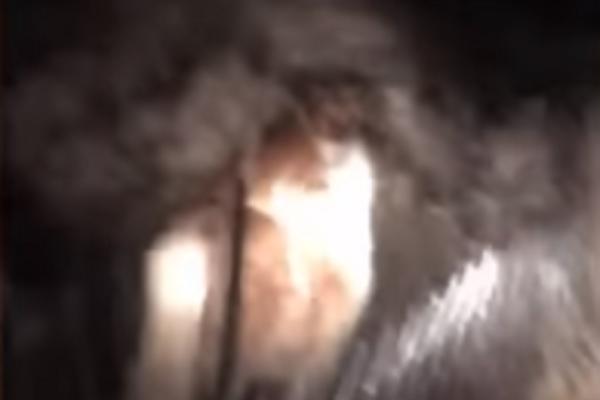 Izašla napolje ISPRED KUĆE usred noći i zatekla potpuno neverovatan prizor! (VIDEO)