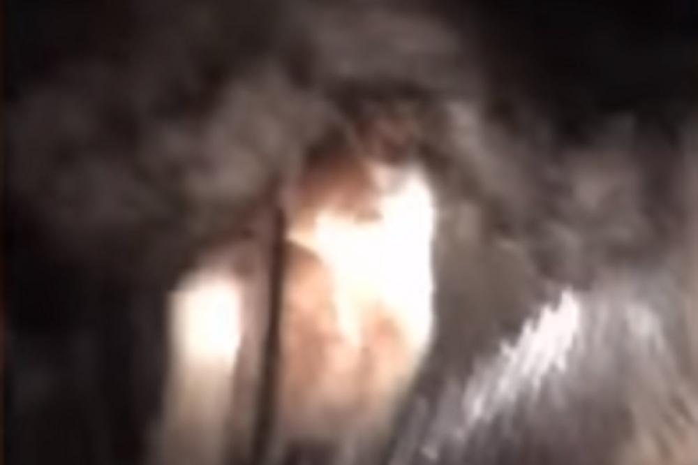 Izašla napolje ISPRED KUĆE usred noći i zatekla potpuno neverovatan prizor! (VIDEO)