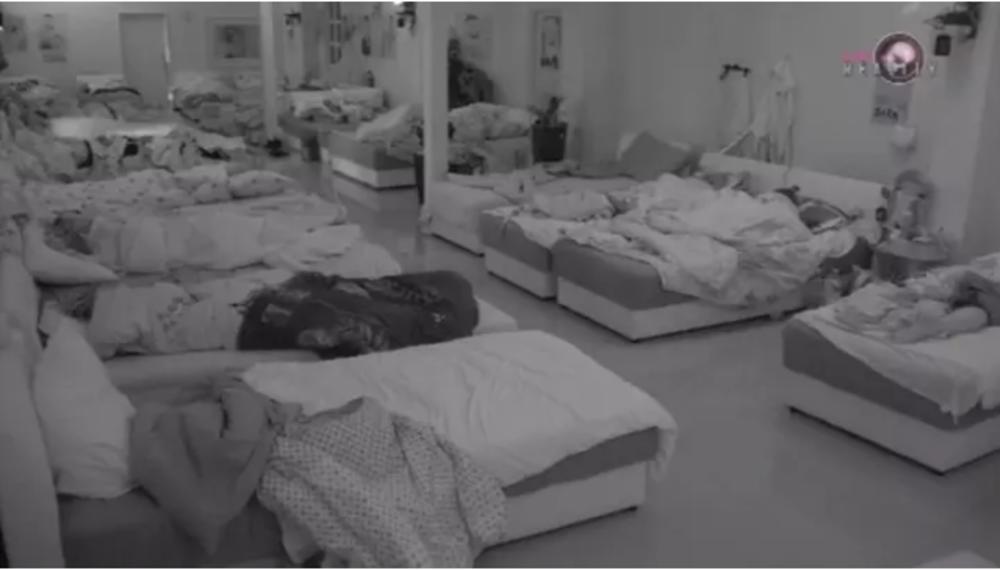 Dok su zadrugari duboko sanjali o izlasku napolje, Bane i Nadežda su se igrali  